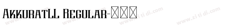 AkkuratLL Regular字体转换